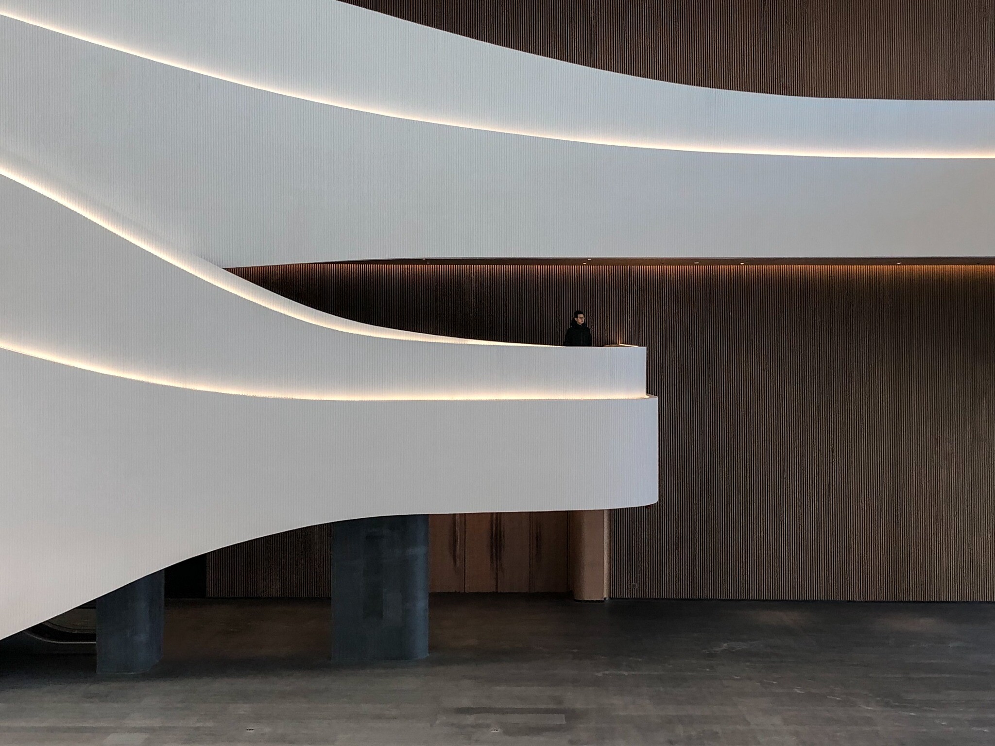 Detail view of corridor openings and light, showing natural light layered between white curved surfaces and wood-toned ceilings.
